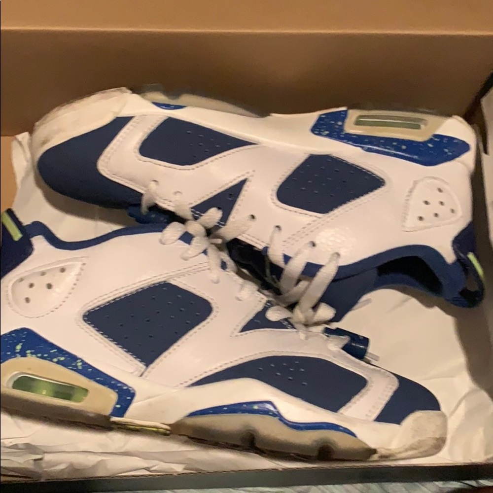 Seahawk Retro 6 Jordans